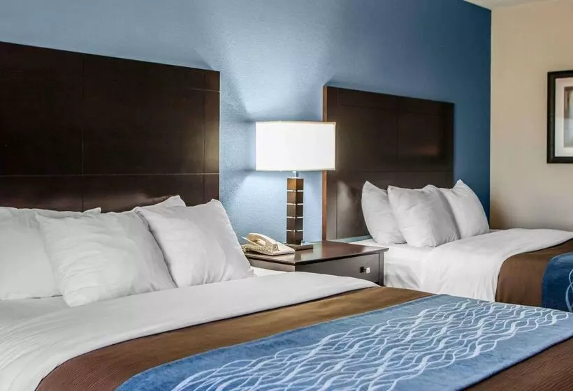 فندق على الطريق Comfort Inn Lees Summit   Hwy 50 & Hwy 291