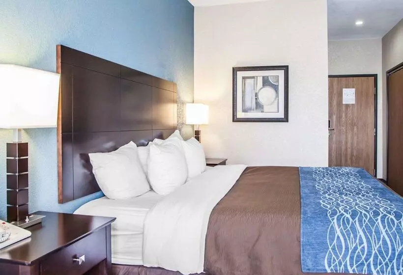 فندق على الطريق Comfort Inn Lees Summit   Hwy 50 & Hwy 291