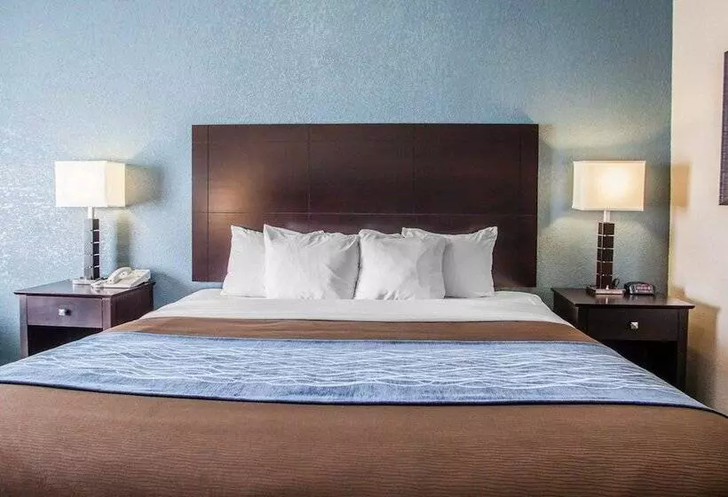 فندق على الطريق Comfort Inn Lees Summit   Hwy 50 & Hwy 291