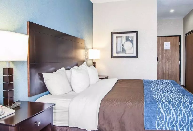 فندق على الطريق Comfort Inn Lees Summit   Hwy 50 & Hwy 291