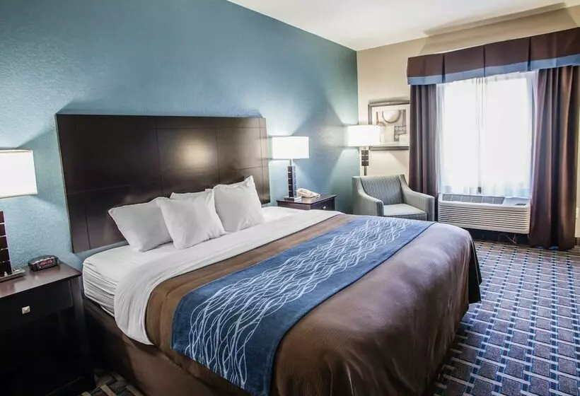 فندق على الطريق Comfort Inn Lees Summit   Hwy 50 & Hwy 291