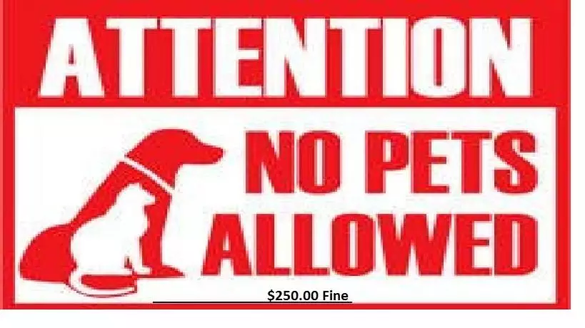 모텔 President Inn & Suites