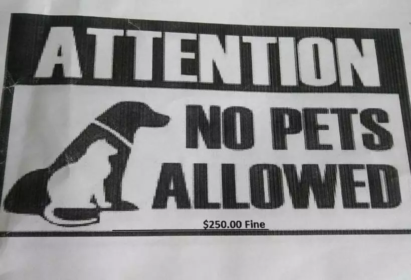 모텔 President Inn & Suites