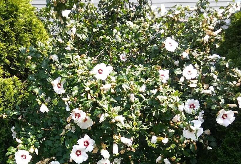 Motel President Inn & Suites