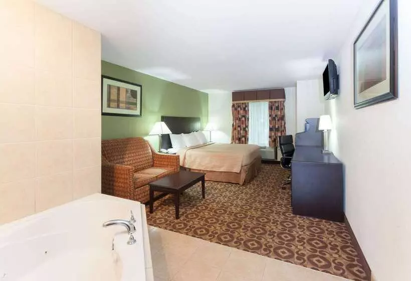 汽车旅馆  Super 8 By Wyndham Decatur/dntn/atlanta Area