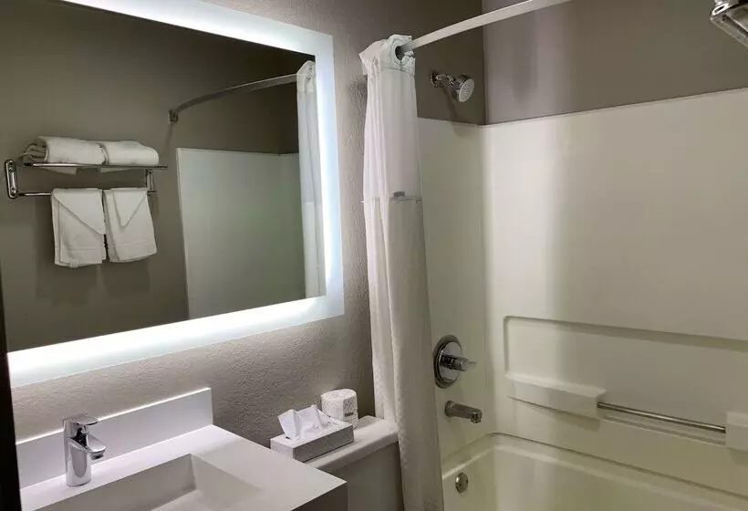 汽车旅馆 Super 8 By Wyndham Greeley