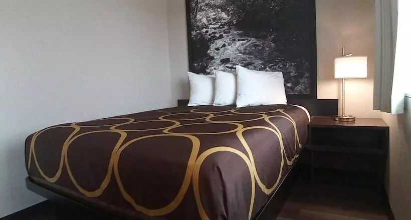 汽车旅馆 Super 8 By Wyndham Greeley