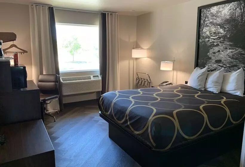 汽车旅馆 Super 8 By Wyndham Greeley