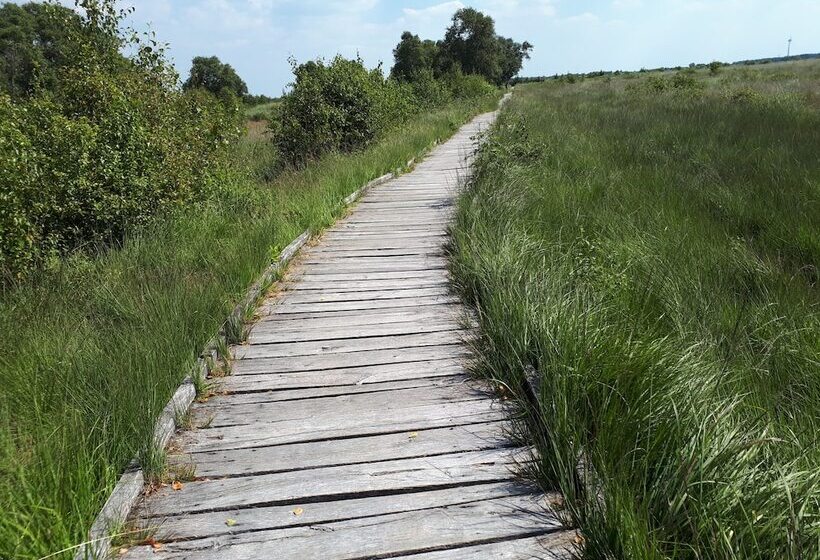 Apartments Fröhling