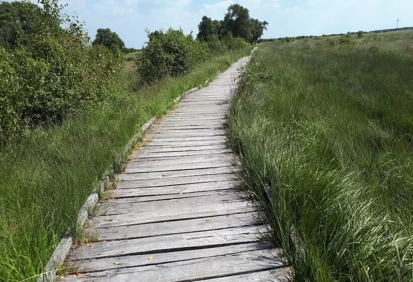 Apartments Fröhling