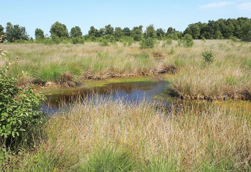 Apartments Fröhling