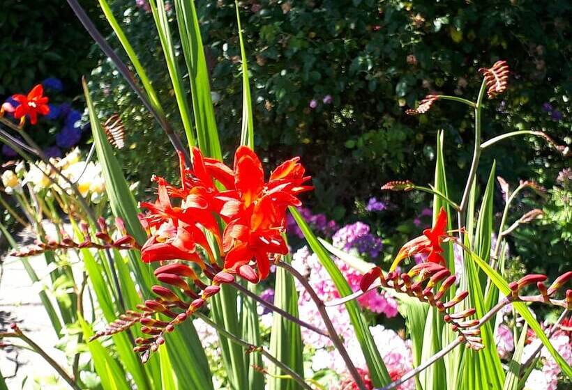 Apartments Fröhling