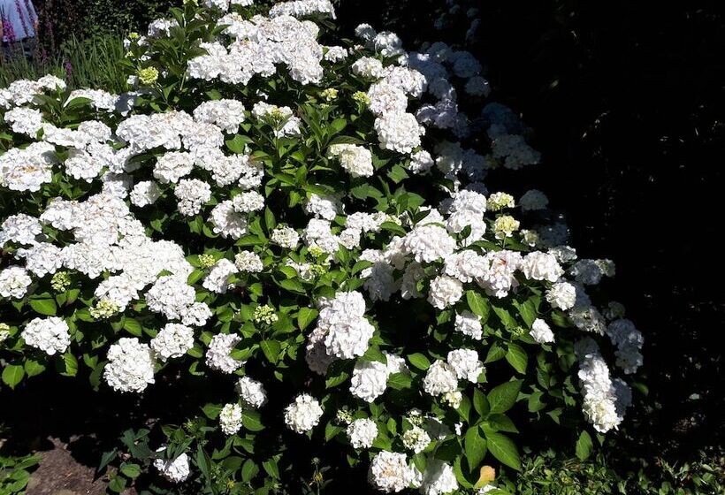 Apartments Fröhling