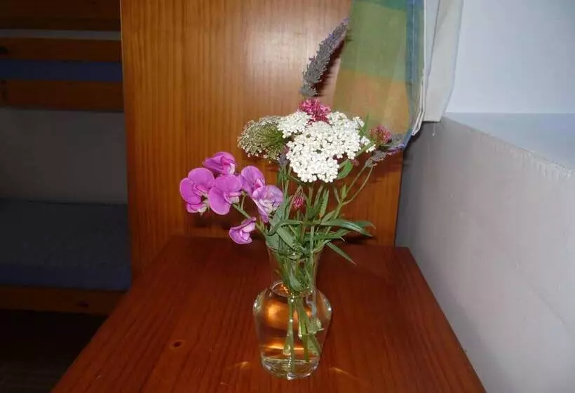 Aamiaismajoitus (B&B) Chambres D Hôtes La Chouette