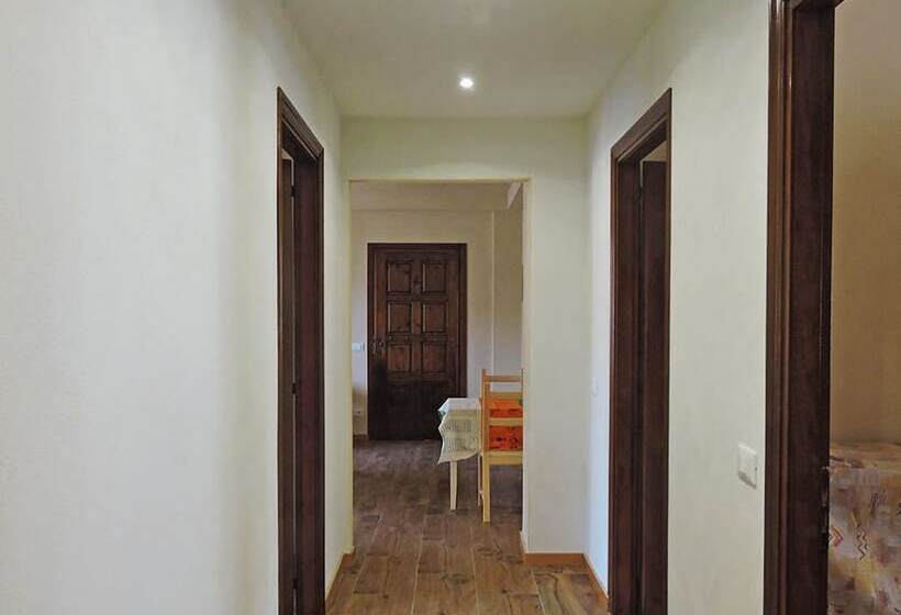 住宿加早餐  Petitui