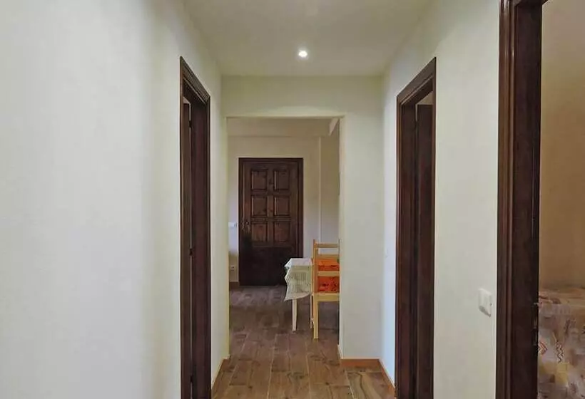 ベッドアンドブレックファースト Petitui