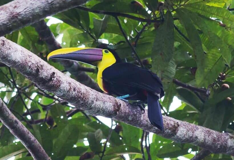 旅馆 Destinos Del Pacífico