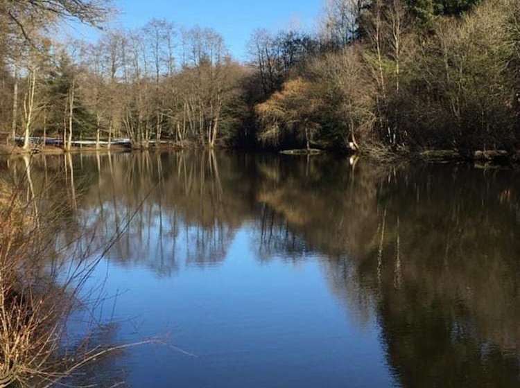 Fishing Lake In France
