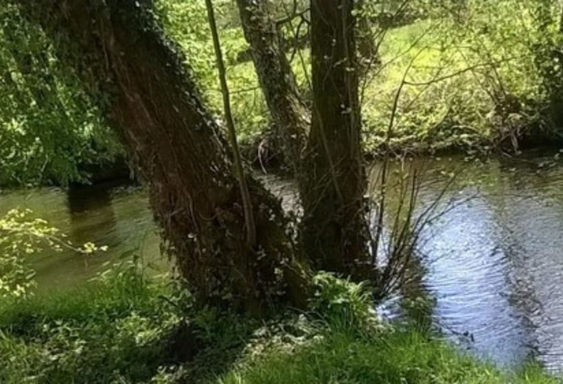 בית מלון כפרי Camping L Agrion Bleu   Mobil Home