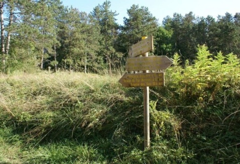 בית מלון כפרי Camping L Agrion Bleu   Mobil Home