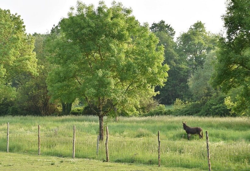 בית מלון כפרי Camping Le Petit Lion   Gites