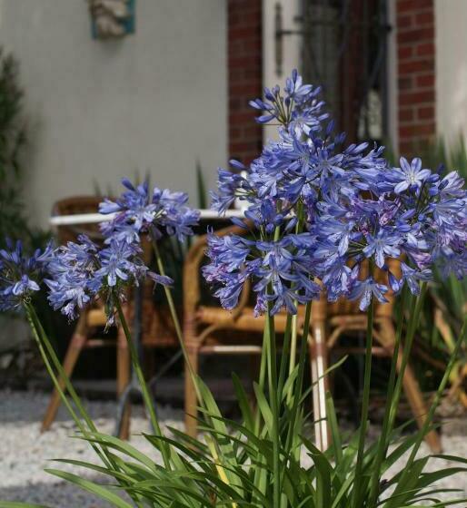 فندق Manoir Bonpassage