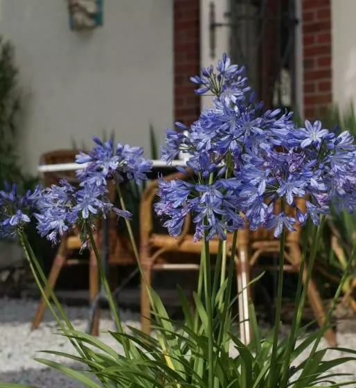 Hotelli Manoir Bonpassage