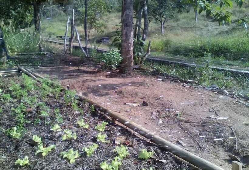 בית מלון כפרי Pousada Estação Andorinhas