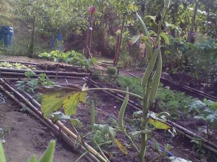 בית מלון כפרי Pousada Estação Andorinhas