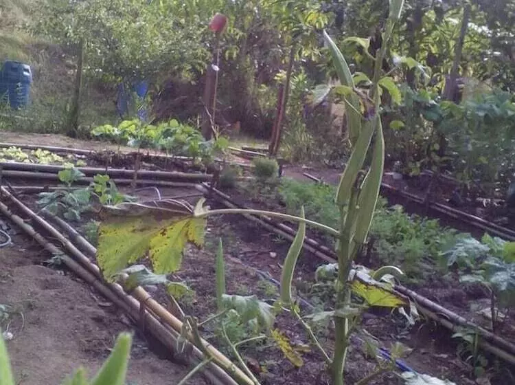 Hotelli Pousada Estação Andorinhas