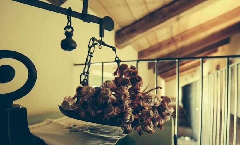 فندق ريفى Cascina Lanè