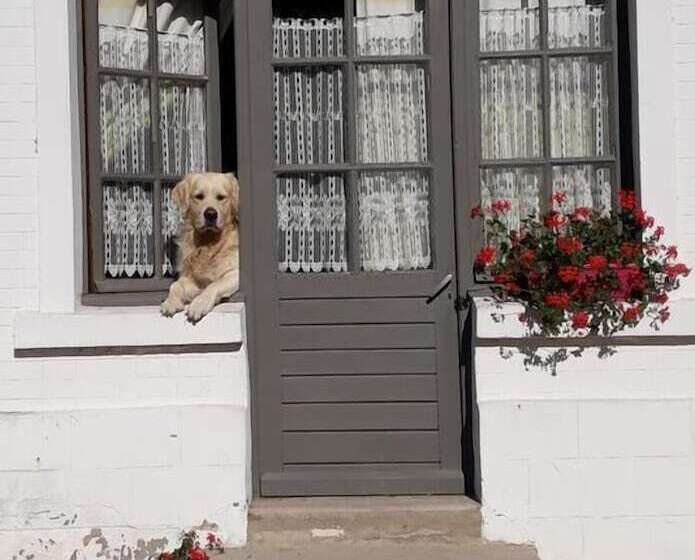 膳宿费 Chambres D Hotes   La Ferme De Tigny