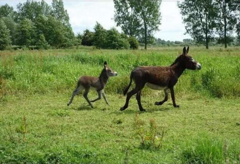膳宿费 Chambres D Hotes   La Ferme De Tigny