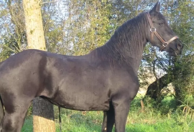 Majatalo Chambres D Hotes   La Ferme De Tigny