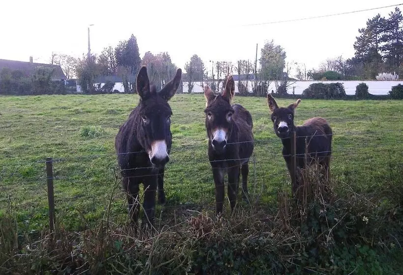 Majatalo Chambres D Hotes   La Ferme De Tigny