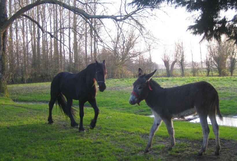 膳宿费 Chambres D Hotes   La Ferme De Tigny