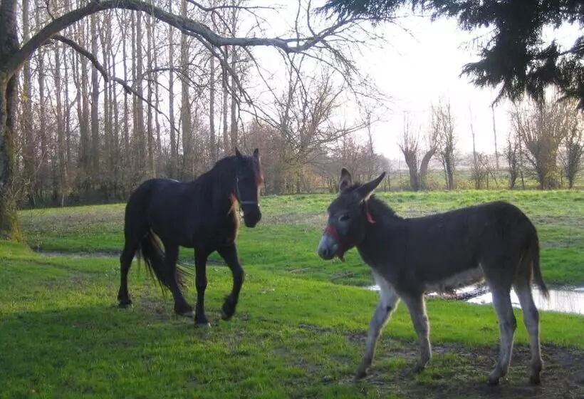 Majatalo Chambres D Hotes   La Ferme De Tigny