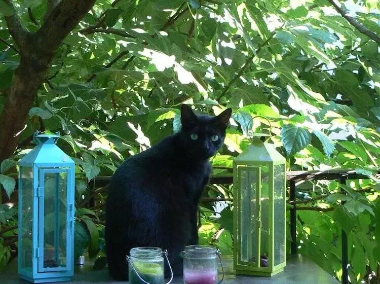 Majatalo Chambres D Hotes Atelier De Fons