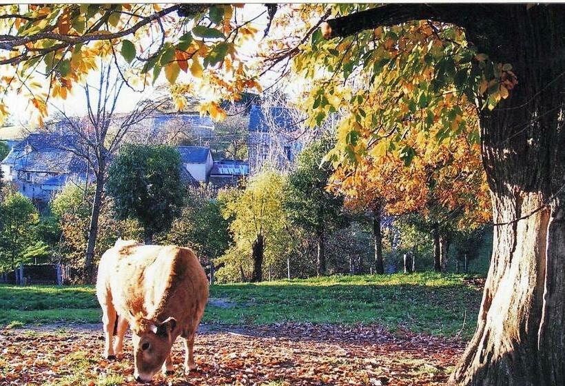 膳宿费 Le Martinou