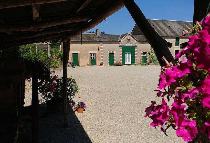 Pensiune Domaine D En Haut