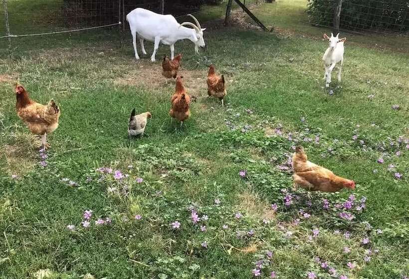 Pensiune Domaine D En Haut