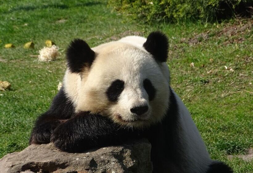 펜션 Le Moulin De La Follaine