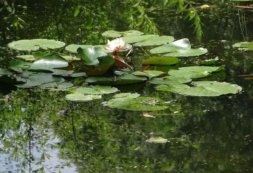 Majatalo Le Moulin De La Follaine
