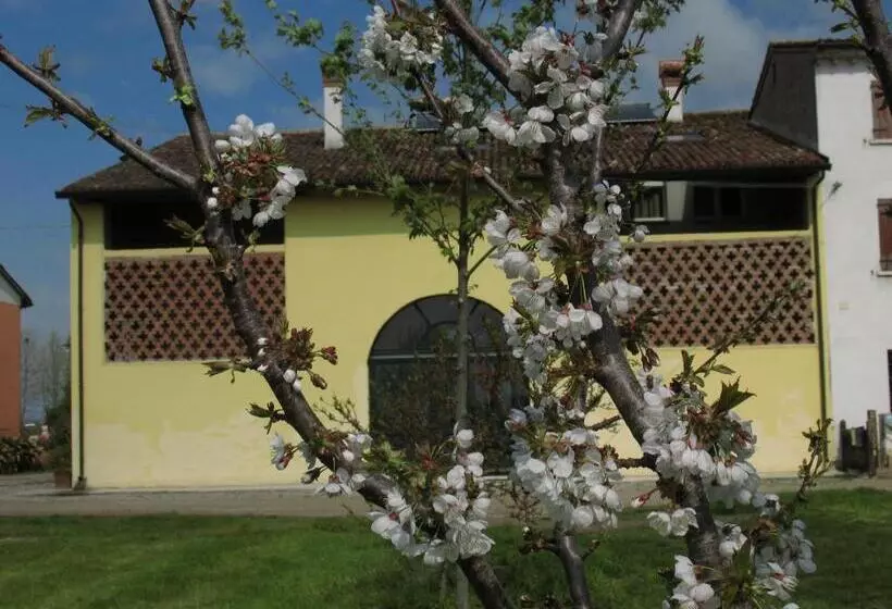 B&b Corte Cornalino