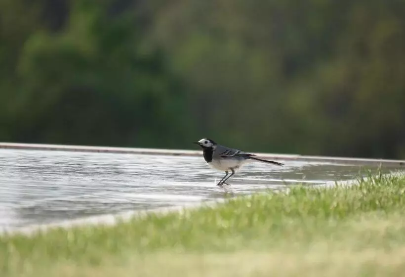 B&b La Mirande De Saint Clar