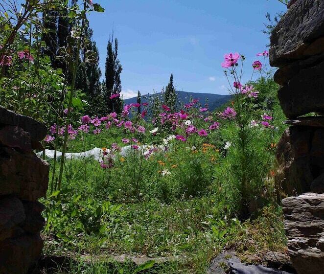 צימר Chambres D'hotes Ecogite Du Mas De Trape
