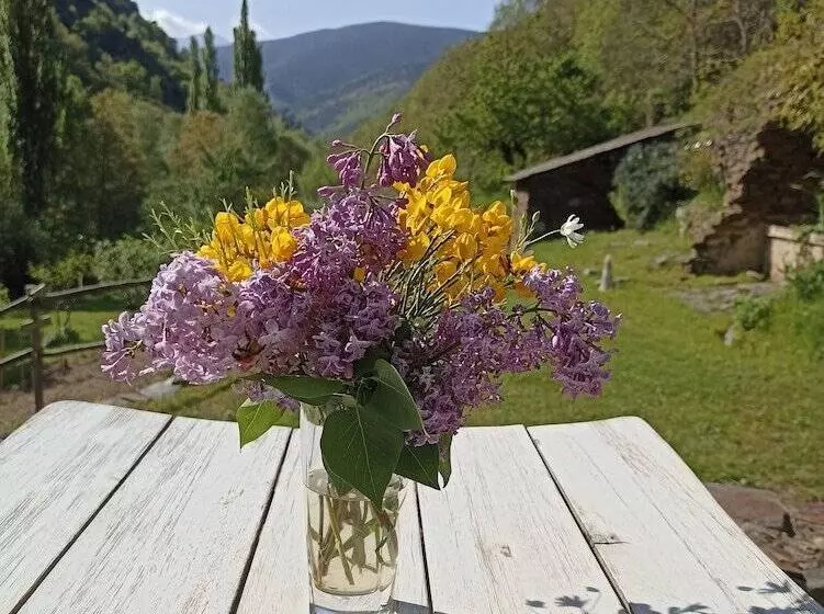 Aamiaismajoitus (B&B) Chambres D'hotes Ecogite Du Mas De Trape