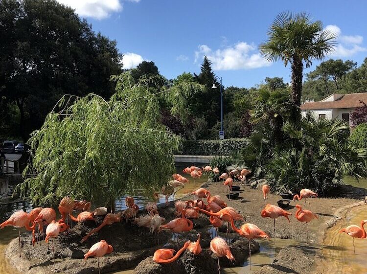 فندق Team Holiday Camping Du Petit Pont