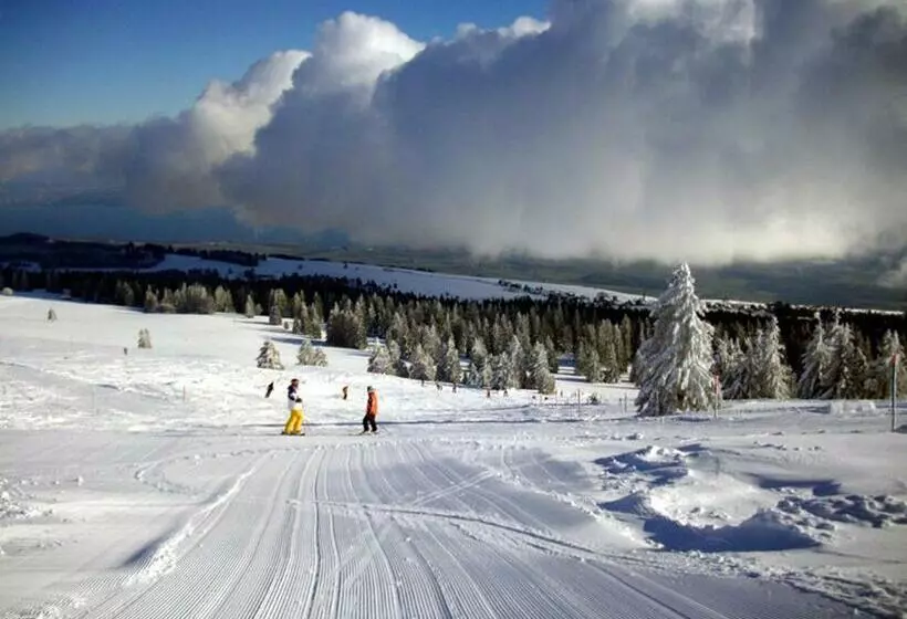 ホテル Hôtel De L Ours