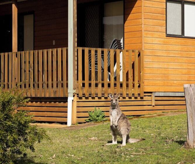 호텔 Reflections Grabine Lakeside   Holiday Park